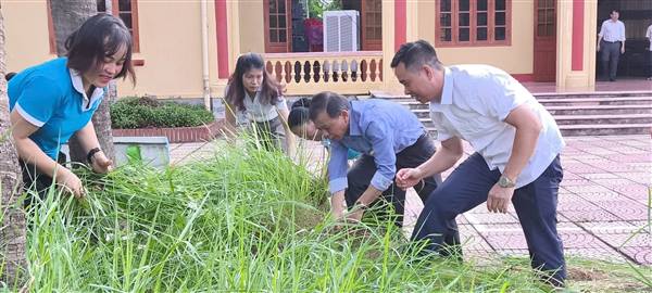 PHÁT ĐỘNG PHONG TRÀO THI ĐUA “TOÀN DÂN CHUNG TAY BẢO VỆ MÔI TRƯỜNG, VÌ MỘT HẢI PHÒNG XANH - SẠCH - ĐẸP”

