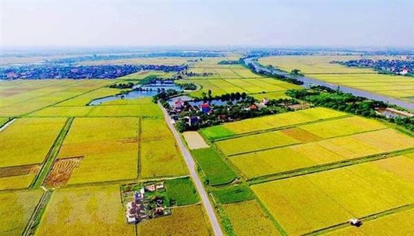 UBND phường Việt Hòa ban hành kế hoạch thu thuế sử dụng đất phi nông nghiệp năm 2025 trên địa bàn 