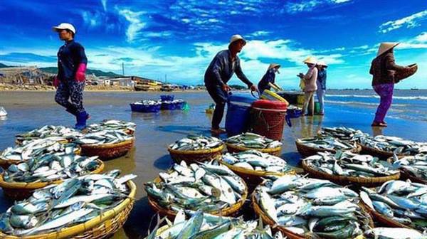 Thực hiện nghiêm các quy định về bảo vệ nguồn lợi thủy sản trong đó có các loài thú biển
