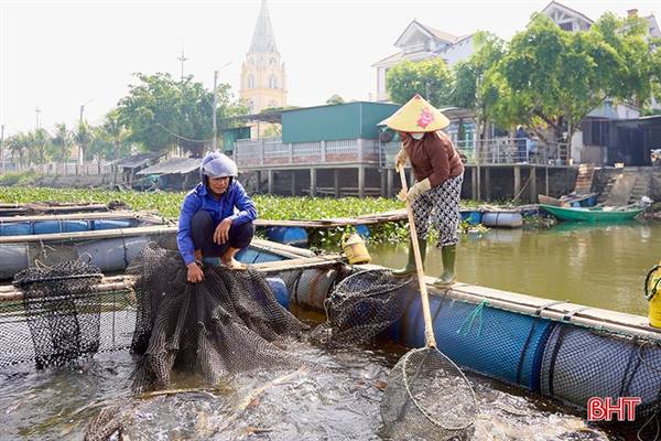 Hướng dẫn chủ động ứng phó mưa bão, lũ trong hoạt động nuôi trồng thủy sản