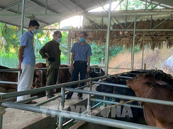 Thông báo về việc tuyên truyền các cơ sở chăn nuôi thủy sản, cơ sở sản xuất giống và thức ăn thủy sản thực hiện các giải pháp tiết giảm chi phí sản xuất, vận chuyển,… để ứng phó với biến động giá nhiên liệu và vật tư đầu vào. 