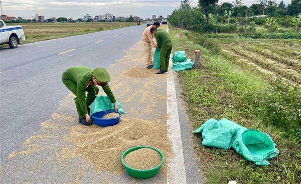 Thông báo không phơi thóc, rơm rạ, phụt tuốt lúa, đốt rơm rạ trên đường giao thông