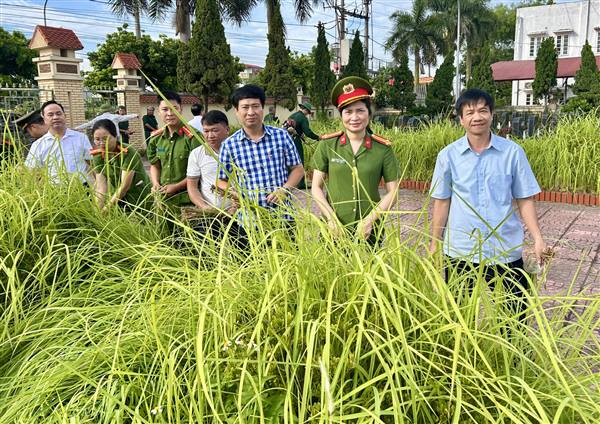 Hội Cựu chiến binh và các tổ chức đoàn thể ra quân dọn dẹp vệ sinh nghĩa trang liệt sỹ