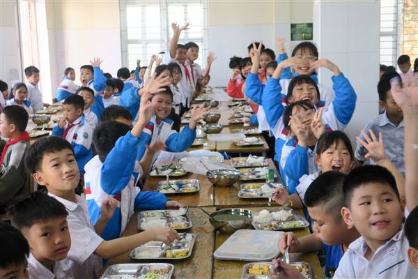 Triển khai Kế hoạch thực hiện Chương trình Sức khỏe học đường giai đoạn 2026-2035 trên địa bàn thành phố Hải Phòng