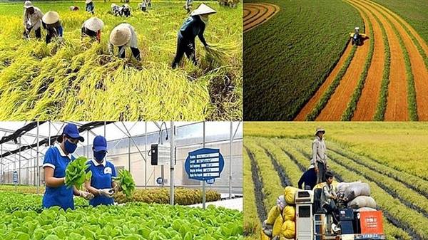 PHƯỜNG VIỆT HÒA TRIỂN KHAI KẾ HOẠCH THU THUẾ SỬ DỤNG ĐẤT PHI NÔNG NGHIỆP NĂM 2026