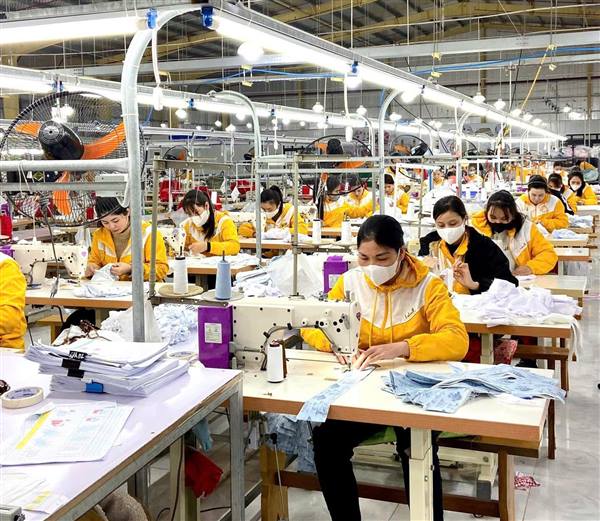 Triển khai Chương trình hỗ trợ kinh doanh bền vững, nâng cao năng lực cạnh tranh của doanh nghiệp giai đoạn 2026 - 2030