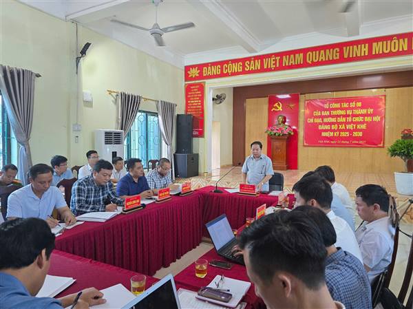 Tổ công tác số 8 của Thành ủy làm việc tại xã Việt Khê 