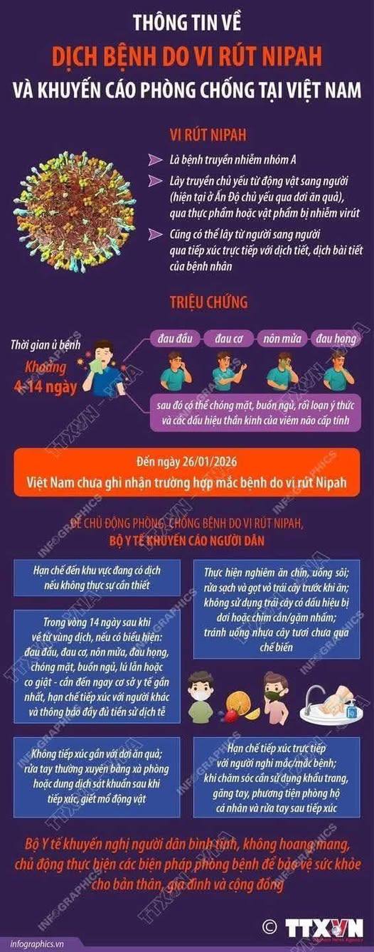 Thông tin về dịch bệnh do virus Nipal và khuyến cáo phòng chống tại Việt Nam