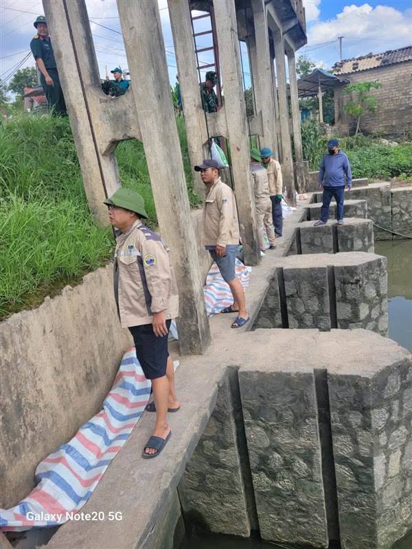 Lực lượng Ban Chỉ huy Quân sự xã, Trạm Thủy nông Quảng Thanh và Phòng Kinh tế xã tham gia đóng bao cát, hoành triệt cống phòng, chống lũ