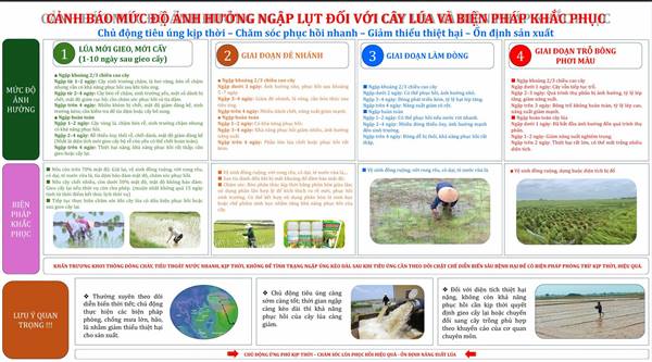 CẢNH BÁO MỨC ĐỘ ẢNH HƯỞNG NGẬP LỤT ĐỐI VỚI CÂY LÚA VÀ BIỆN PHÁP KHẮC PHỤC
Chủ động tiêu úng kịp thời – Chăm sóc phục hồi nhanh – Giảm thiểu thiệt hại – Ổn định sản xuất