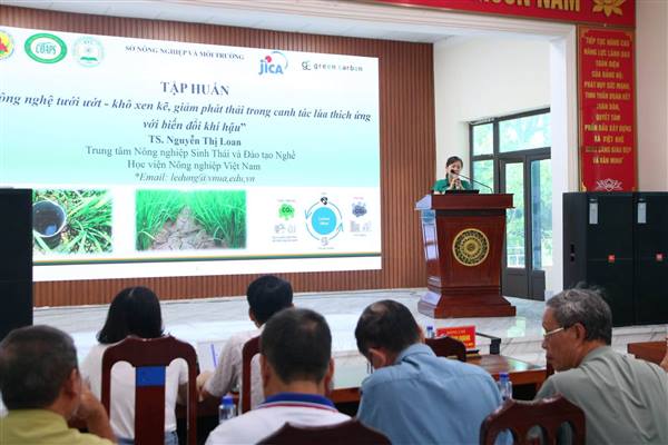 Hội nghị tập huấn kỹ thuật tưới ướt – khô xen kẽ trong canh tác lúa, hướng tới giảm phát thải và thích ứng với biến đổi khí hậu