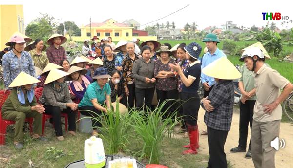 XÃ VĨNH BẢO TẬP HUẤN ĐẦU BỜ CHUYỂN GIAO KỸ THUẬT CHĂM SÓC LÚA VỤ XUÂN 2026.