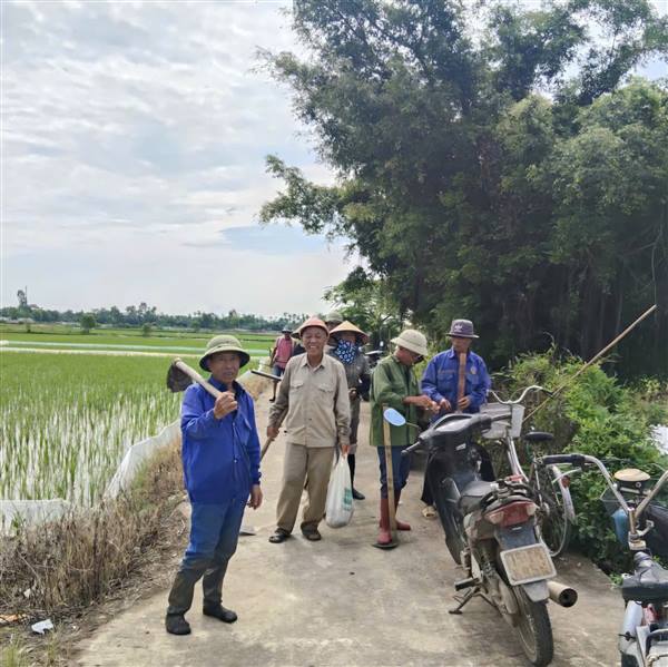 Hội Nông dân xã Vĩnh Bảo tích cực ra quân đánh diệt chuột, bảo vệ lúa vụ Mùa năm 2026