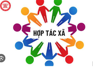 Điều tra sự hài lòng cấp tỉnh của hợp tác xã bằng công nghệ số