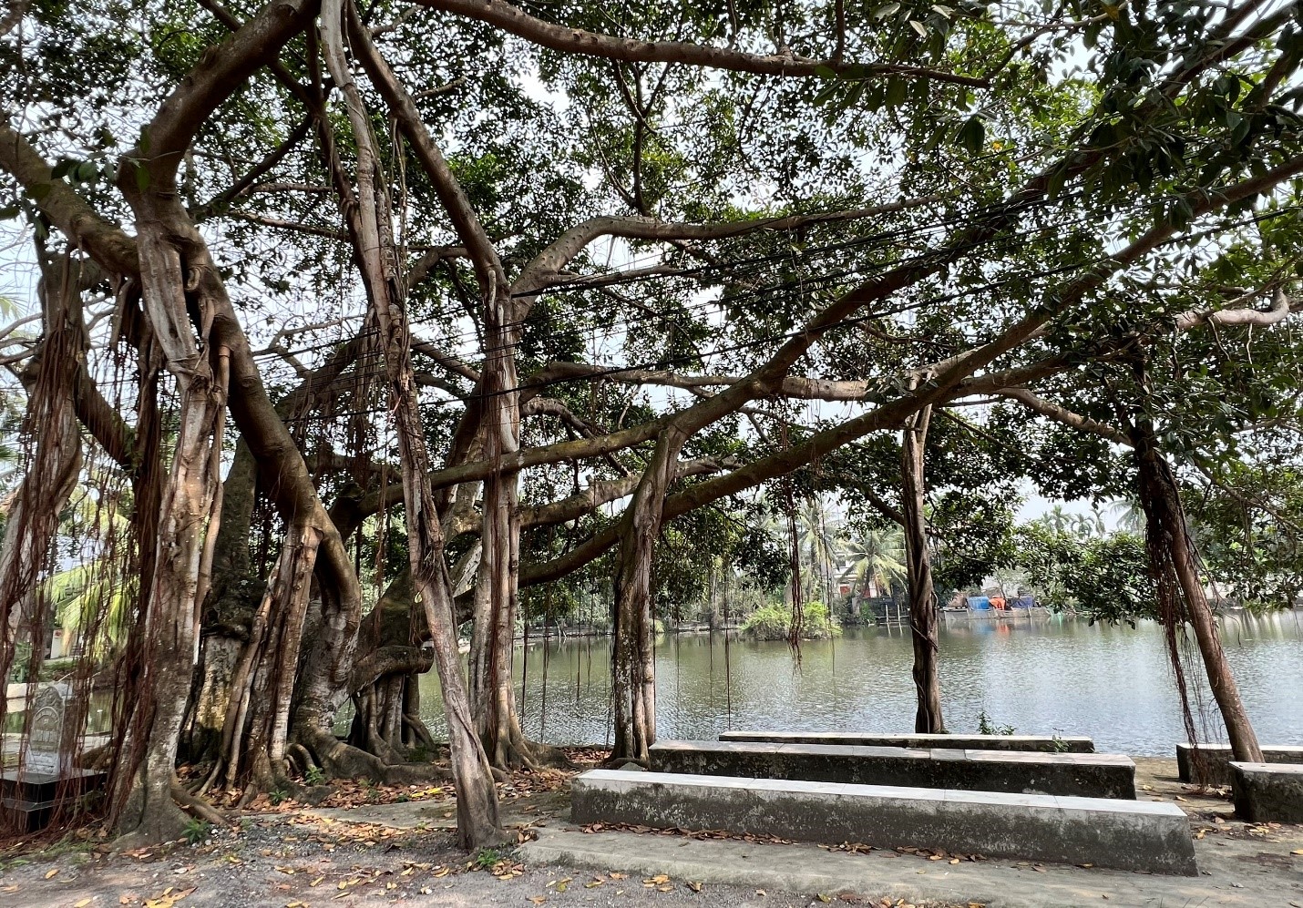 https://thanhdoanhaiphong.gov.vn/data/media/1012/images/3(135).jpg