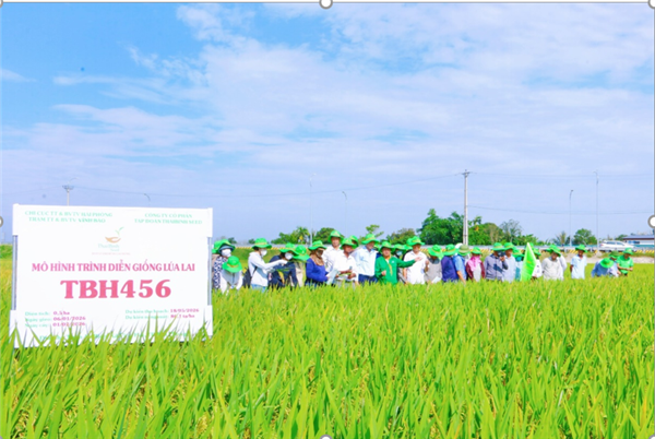 ĐÁNH GIÁ HIỆU QUẢ MÔ HÌNH TRÌNH DIỄN GIỐNG LÚA LAI TBH456 TẠI XÃ VĨNH HẢI THÀNH PHỐ HẢI PHÒNG