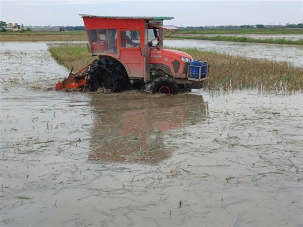 XÃ VĨNH LẠI: KHUYẾN CÁO ĐỒNG BỘ CÁC BIỆN PHÁP KỸ THUẬT LÀM ĐẤT VÀ GIEO CẤY LÚA VỤ MÙA NĂM 2026