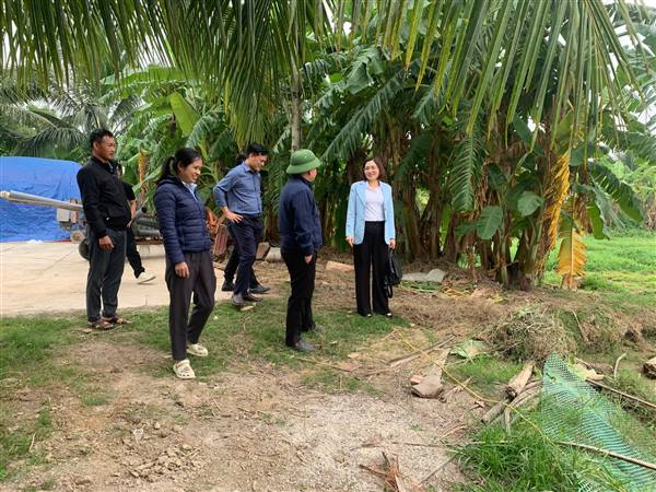 THÀNH PHỐ TỔ CHỨC KIỂM TRA, NGHIỆM THU CƠ SỞ ĐƯỢC HỖ TRỢ VIETGAP TẠI XÃ VĨNH THỊNH