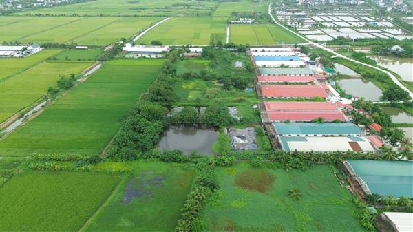 UBND xã Vĩnh Thuận kiểm tra công tác bảo vệ môi trường khu vực chăn nuôi tập trung tạo xứ đồng Rộc Rừng