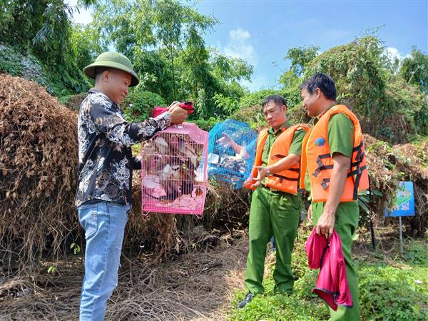 Công an xã Vĩnh Thuận thả 35 cá thể chim về môi trường tự nhiên