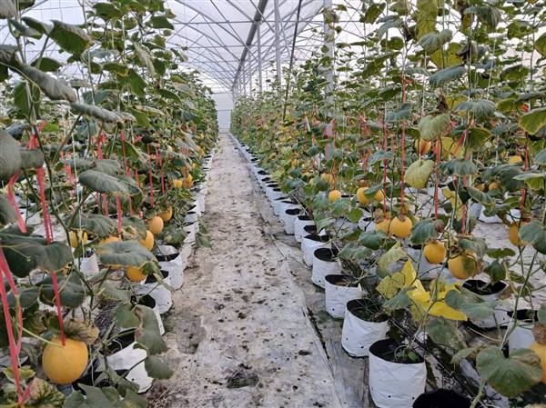 Xã Vĩnh Thuận quyết tâm thực hiện thắng lợi các nhiệm vụ, giải pháp trọng tâm 6 tháng cuối năm 2026

