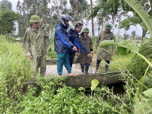 Lãnh đạo xã Yết Kiêu thị sát, kiểm tra, vận hành thử nghiệm các công trình thủy lợi, lên phương án tiêu thoát nước.