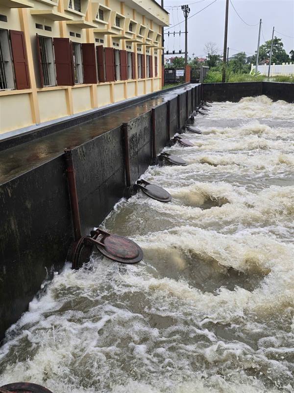 Xã Yết Kiêu chủ động phòng chống tiêu úng cho 949,2 ha lúa và cây hoa màu trên địa bàn