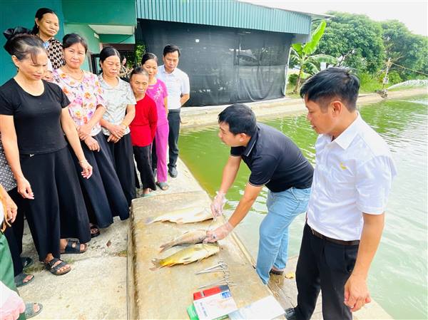Hội nông dân xã Yết Kiêu tập huấn kỹ thuật nuôi cá hiệu quả, bền vững