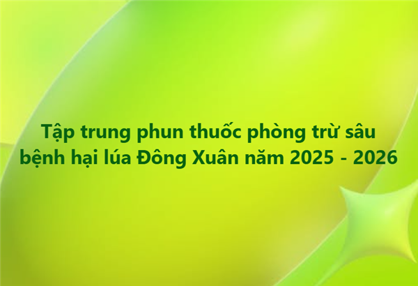 Tập trung phun thuốc phòng trừ sâu bệnh hại lúa Đông Xuân năm 2025 - 2026