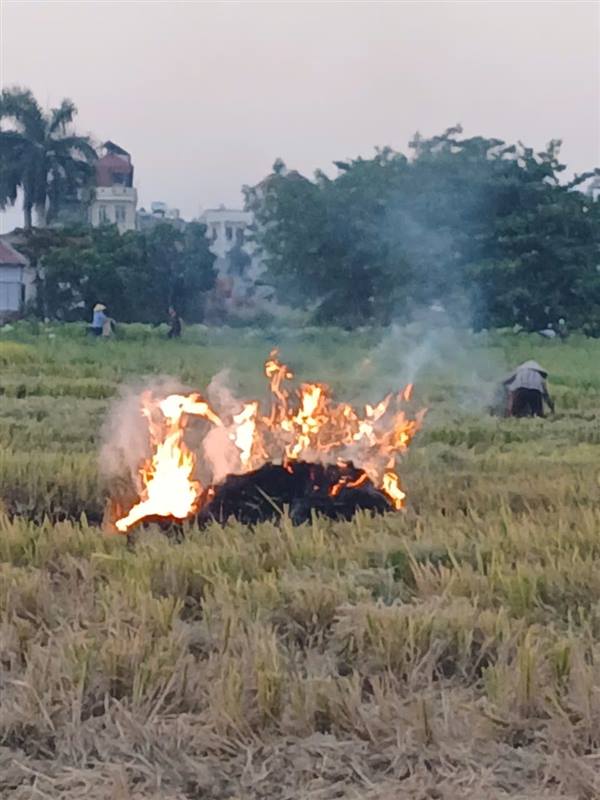 Đốt rơm rạ - hiểm họa môi trường và nỗi lo sức khỏe